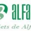 ALFABAN SRL